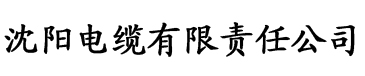 国产 中文 亚洲 日韩 欧美电缆厂logo